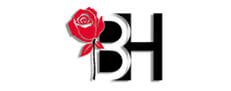 Gemina Logo